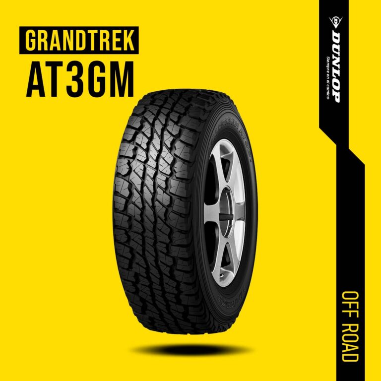 Dunlop-AT3GM